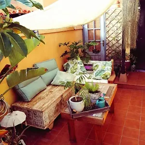 https://vivienda-vacacional-vaiana.in-canary-islands.com